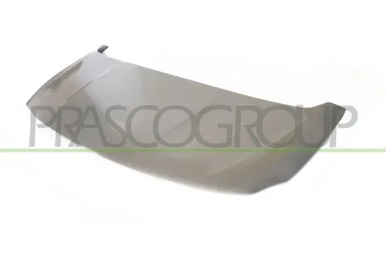 Motorhaube PRASCO PG9133100 Bild Motorhaube PRASCO PG9133100