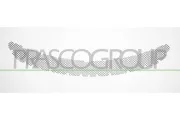 Lüftungsgitter, Stoßfänger vorne PRASCO PR5062206