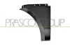 Kotfl&uuml;gel vorne links PRASCO PR7503034