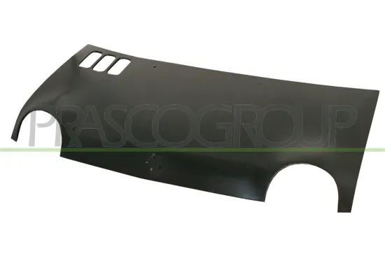 Motorhaube PRASCO RN0253100 Bild Motorhaube PRASCO RN0253100