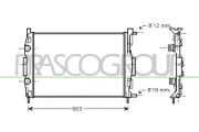 Kühler, Motorkühlung PRASCO RN032R007