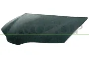 Motorhaube PRASCO RN0843100