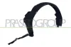 Verkleidung, Radhaus vorne links PRASCO RN0843604