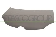 Motorhaube PRASCO RN2023100