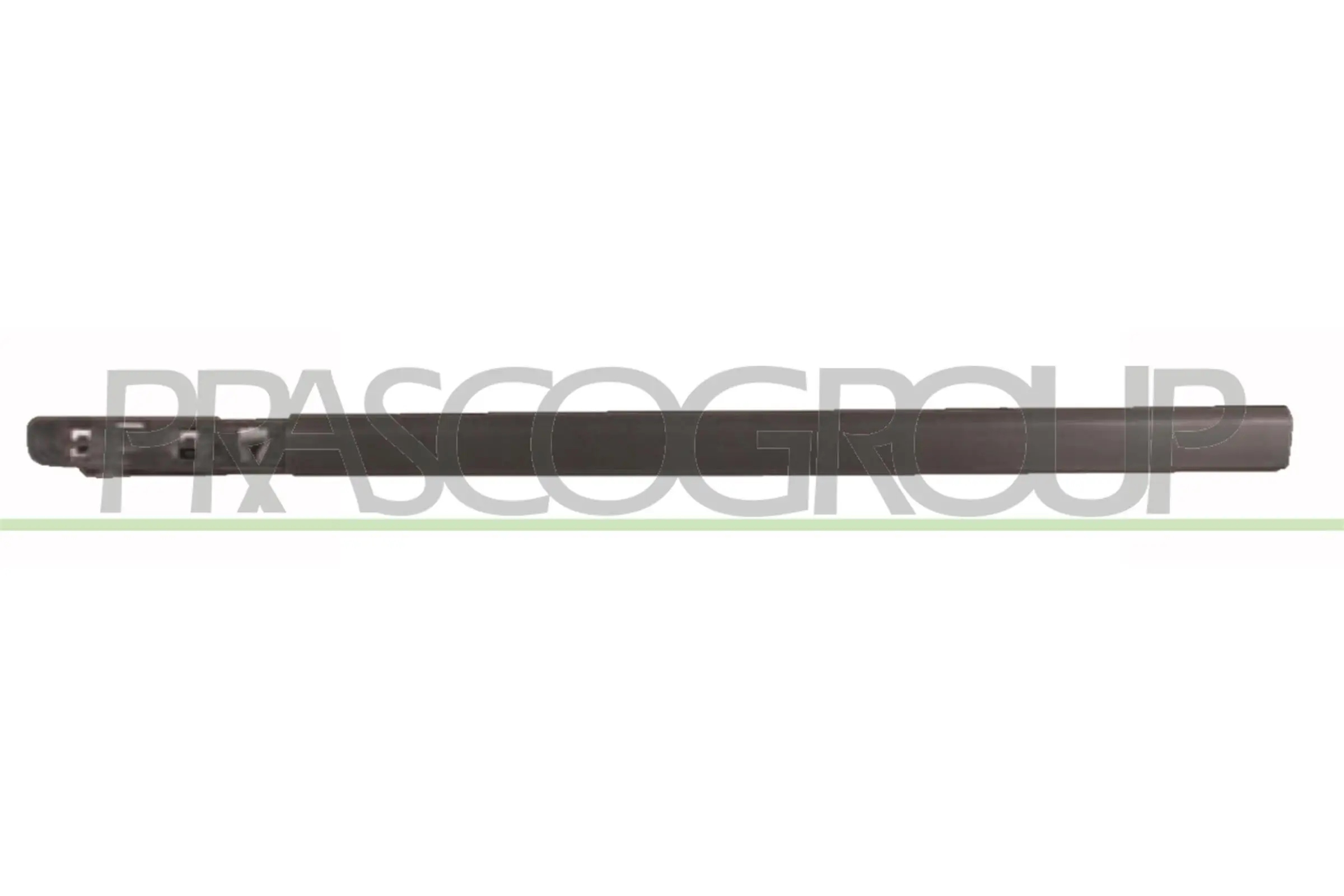Zier-/Schutzleiste, Tür vorne links PRASCO RN3251404