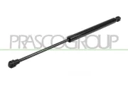 Gasfeder, Koffer-/Laderaum hinten links hinten rechts PRASCO RN3259055