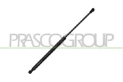 Gasfeder, Koffer-/Laderaum hinten links hinten rechts PRASCO RN3259075