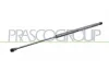 Gasfeder, Koffer-/Laderaum hinten links hinten rechts PRASCO RN3299055