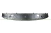 Spoiler vorne PRASCO RN3321802