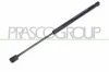 Gasfeder, Koffer-/Laderaum beidseitig PRASCO RN4209055
