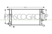 Kühler, Motorkühlung PRASCO RN424R001