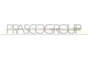Zier-/Schutzleiste, Tür vorne links PRASCO RN7001414