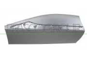 Zier-/Schutzleiste, Tür hinten rechts PRASCO RN7001473
