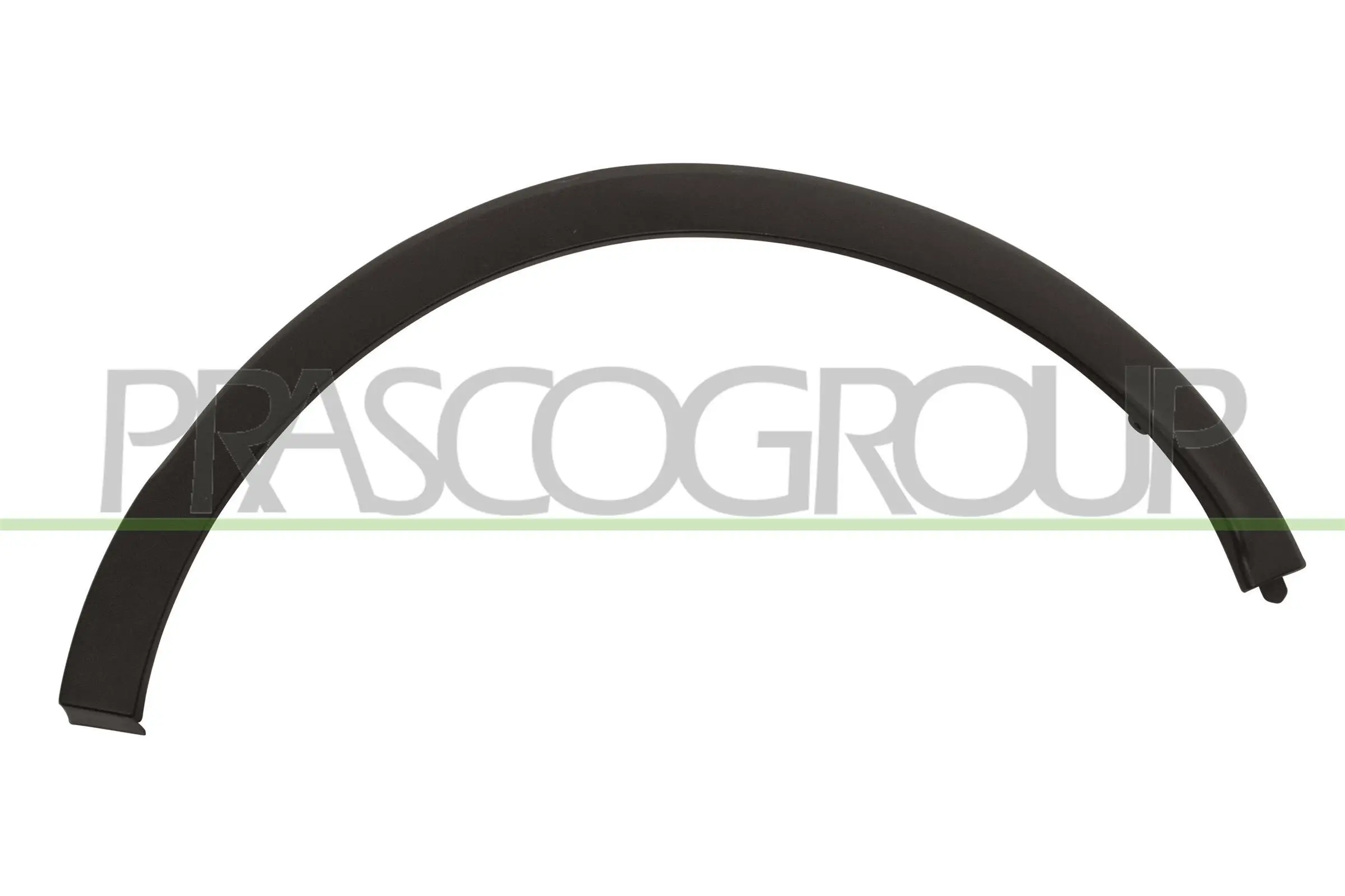 Zier-/Schutzleiste, Kotflügel hinten links PRASCO RN7001584