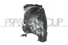 Verkleidung, Radhaus vorne links PRASCO RN7003614
