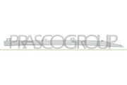 Zier-/Schutzleiste, Tür hinten links PRASCO RN7041474