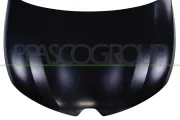 Motorhaube PRASCO RN7043100