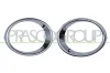 Halter, Nebelscheinwerfer links rechts PRASCO RN7501220
