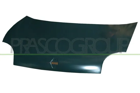 Motorhaube PRASCO RN9163100 Bild Motorhaube PRASCO RN9163100