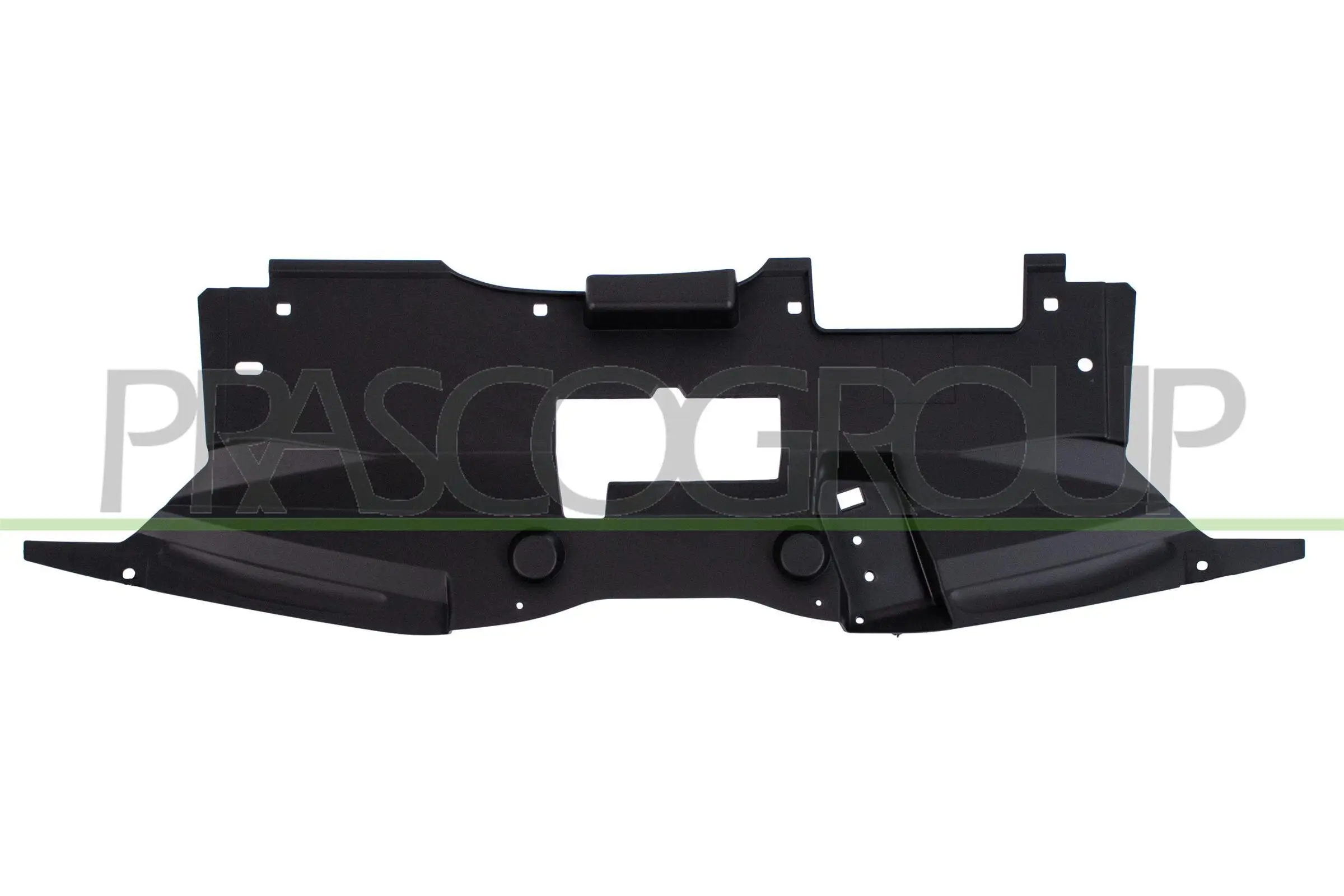 Zier-/Schutzleiste, Frontverkleidung vorne PRASCO RN9402112