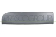 Zier-/Schutzleiste, Tür hinten rechts PRASCO RN9541457