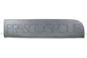 Zier-/Schutzleiste, Tür hinten links PRASCO RN9541458