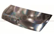 Motorhaube PRASCO RN9543100
