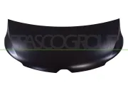 Motorhaube PRASCO RN9583100