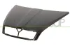 Motorhaube PRASCO SK0243100