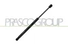 Gasfeder, Koffer-/Laderaum hinten links hinten rechts PRASCO SK2019055