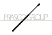 Gasfeder, Koffer-/Laderaum hinten links hinten rechts PRASCO SK2019055