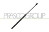 Gasfeder, Koffer-/Laderaum hinten links hinten rechts PRASCO SK3249055