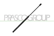 Gasfeder, Koffer-/Laderaum hinten links hinten rechts PRASCO SK3249055