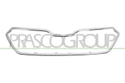 Rahmen, Kühlergitter PRASCO SK3302305