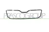 Rahmen, Kühlergitter PRASCO SK4242305