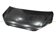 Motorhaube PRASCO ST2013100