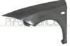 Kotfl&uuml;gel vorne links PRASCO ST4223014