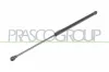Gasfeder, Koffer-/Laderaum beidseitig PRASCO ST4229055