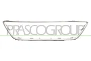 Zier-/Schutzleiste, Kühlergitter PRASCO ST4262305