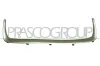 Zier-/Schutzleiste, K&uuml;hlergitter PRASCO SZ0562206