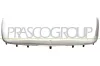 Rahmen, Kühlergitter PRASCO SZ0582305