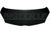 Motorhaube PRASCO TY2013100