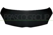 Motorhaube PRASCO TY2013100