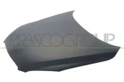 Motorhaube PRASCO TY2873100