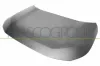 Motorhaube PRASCO TY2933110