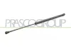 Gasfeder, Koffer-/Laderaum hinten rechts PRASCO TY3209053