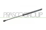 Gasfeder, Koffer-/Laderaum hinten rechts PRASCO TY3209053