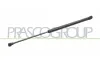 Gasfeder, Koffer-/Laderaum hinten links PRASCO TY3209054