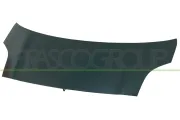 Motorhaube PRASCO TY3253100