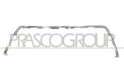 Zier-/Schutzleiste, Kühlergitter PRASCO TY3542206